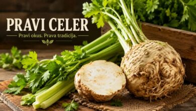 Pravi Celer