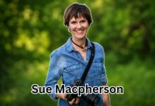 Sue Macpherson